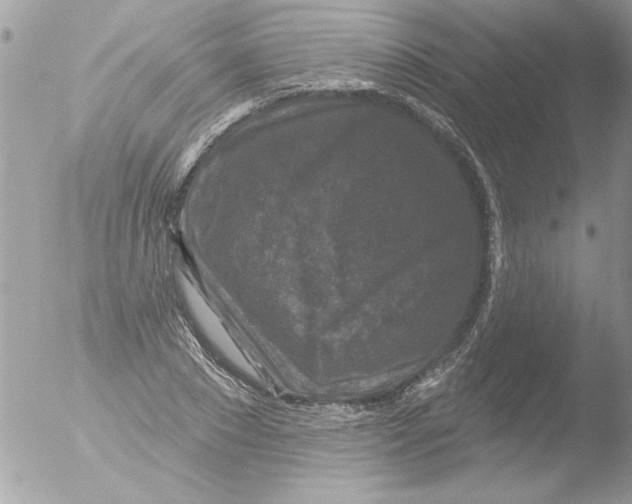 X0000051260881200507152213