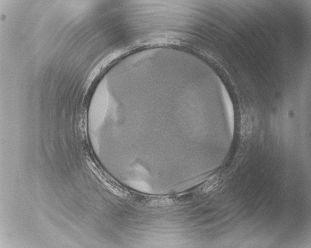 X0000051260882200507152213