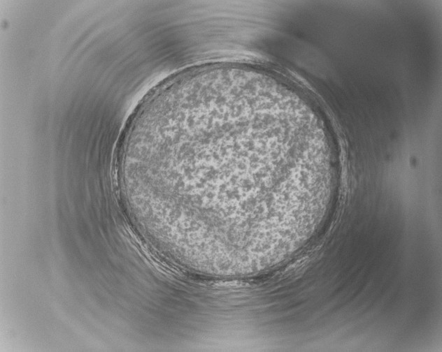 X0000051260883200507152213