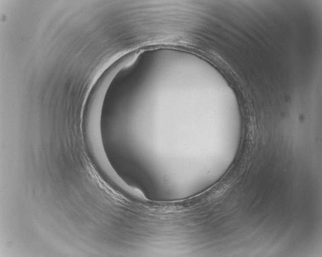 X0000051260884200507152213