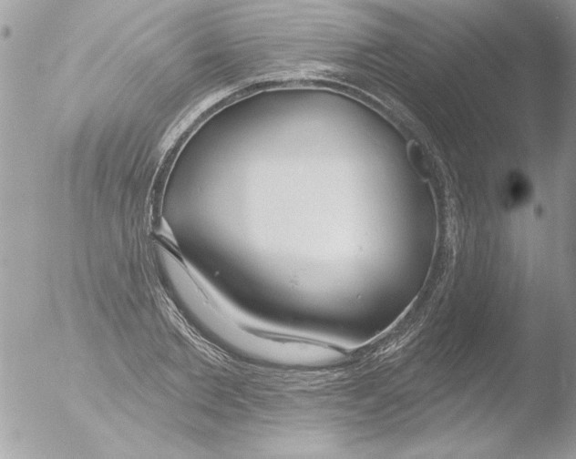 X0000051260885200507152213