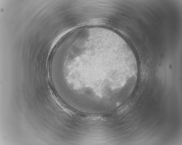 X0000051260886200507152213