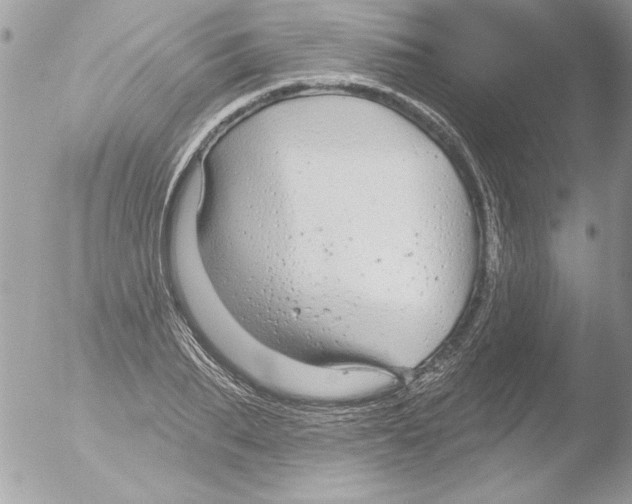 X0000051260887200507152213