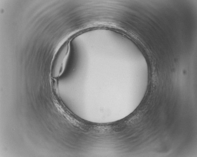 X0000051260888200507152213