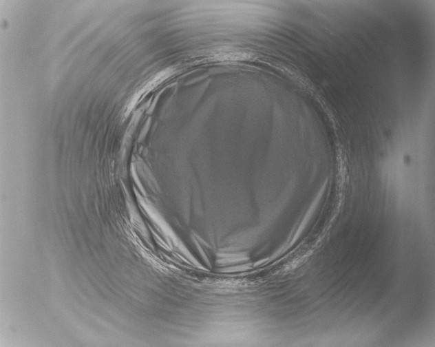 X0000051260889200507152213