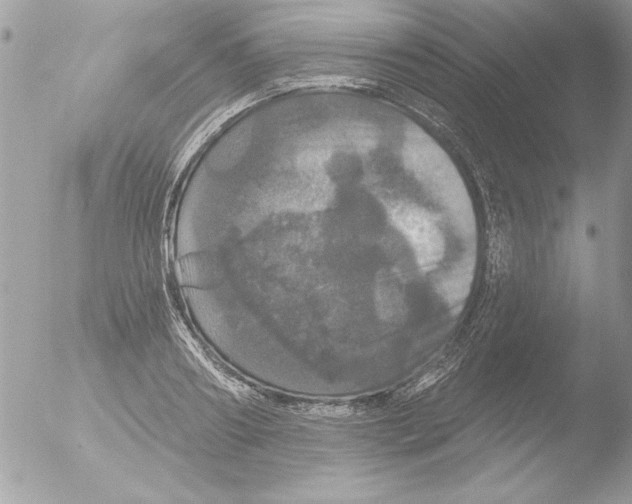 X0000051260890200507152212