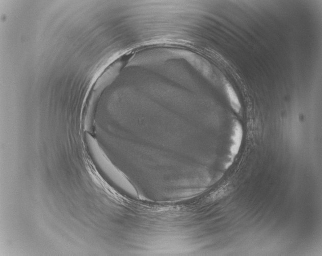 X0000051260892200507152212