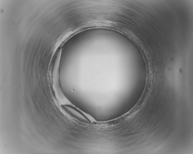 X0000051260893200507152212