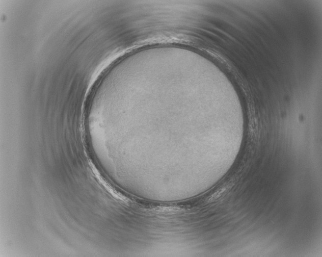 X0000051260894200507152212