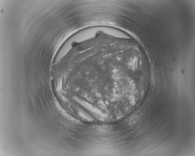 X0000051260895200507152212