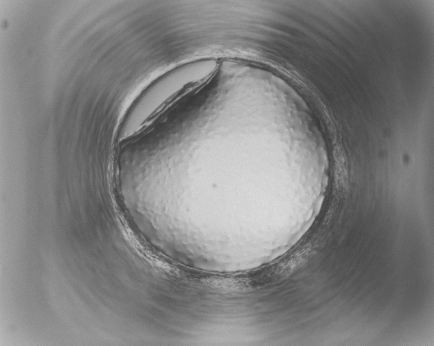 X0000051260896200507152212