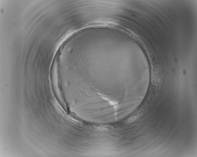 X0000051260899200507152212