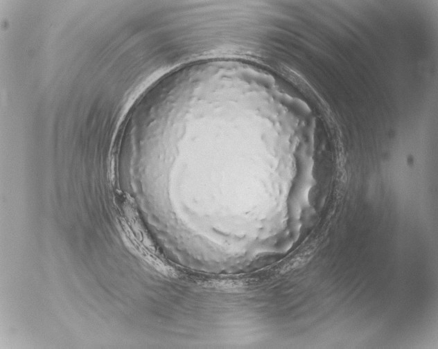 X0000051260900200507152212