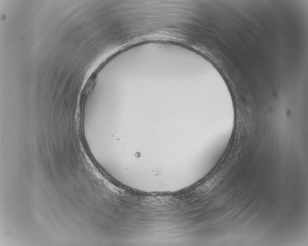 X0000051260902200507152212