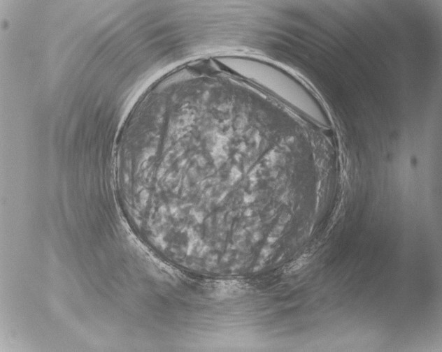 X0000051260903200507152212