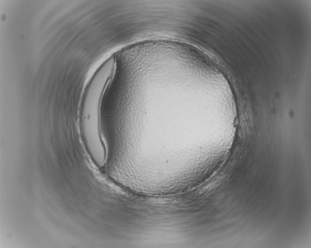 X0000051260904200507152212