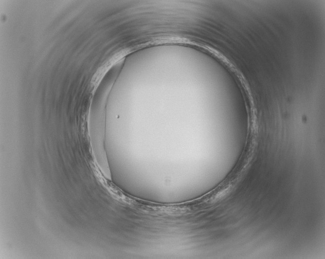 X0000051260905200507152212