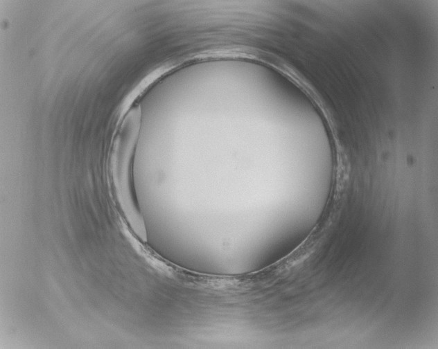 X0000051260909200507152212