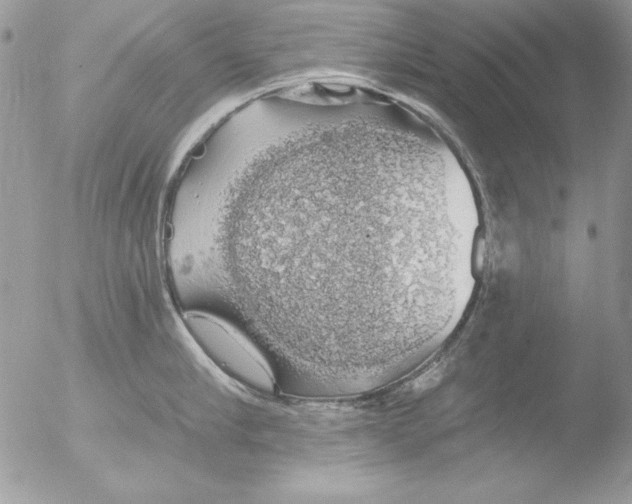 X0000051260910200507152212