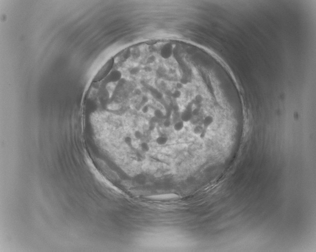 X0000051260911200507152212