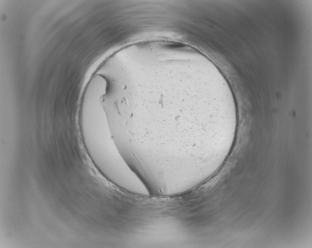 X0000051260912200507152212