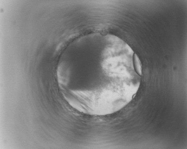 X0000051260913200507152211