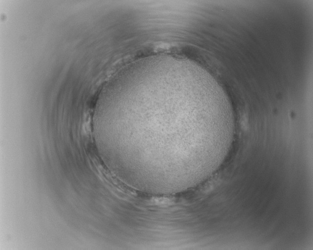 X0000051260914200507152211