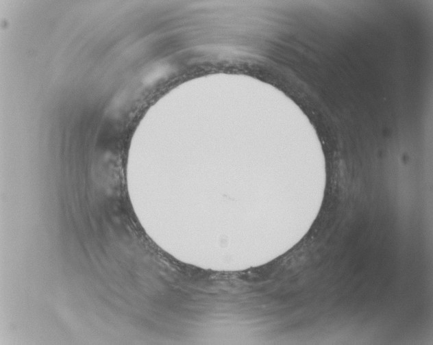 X0000051260918200507152211