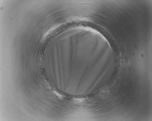 X0000051260919200507152211