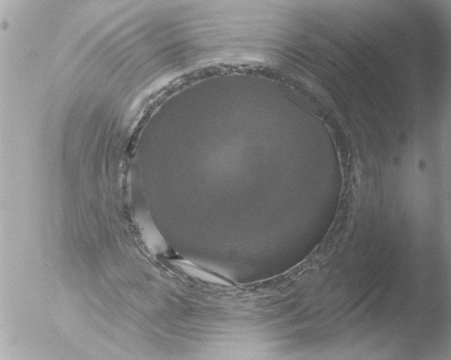 X0000051260920200507152211