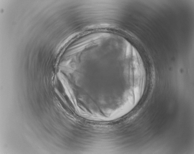 X0000051260921200507152211