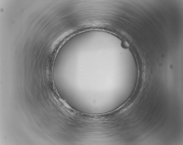 X0000051260922200507152211