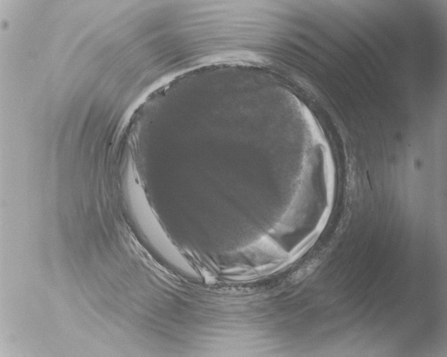 X0000051260923200507152211