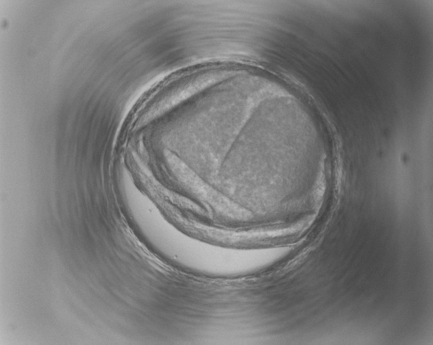 X0000051260924200507152211