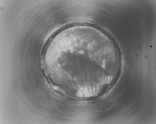 X0000051260925200507152211