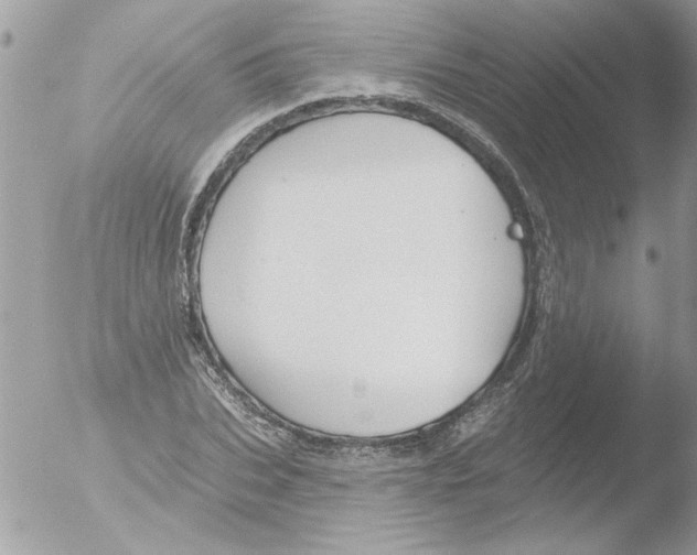 X0000051260927200507152212