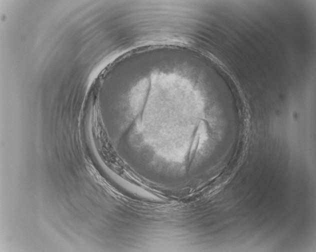 X0000051260928200507152212