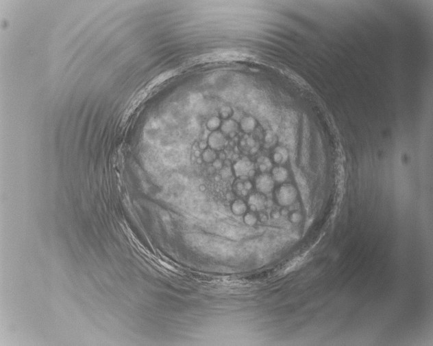 X0000051260929200507152212