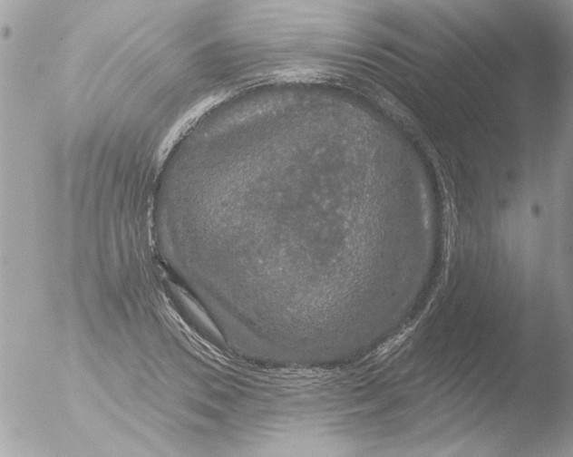 X0000051260930200507152212