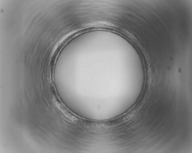 X0000051260931200507152212