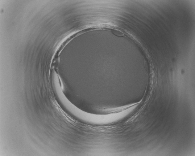 X0000051260932200507152212