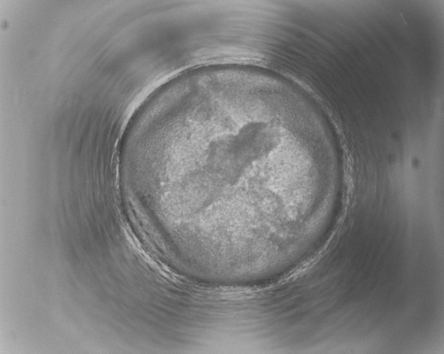 X0000051260933200507152212