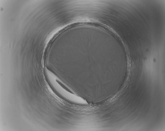 X0000051260935200507152212