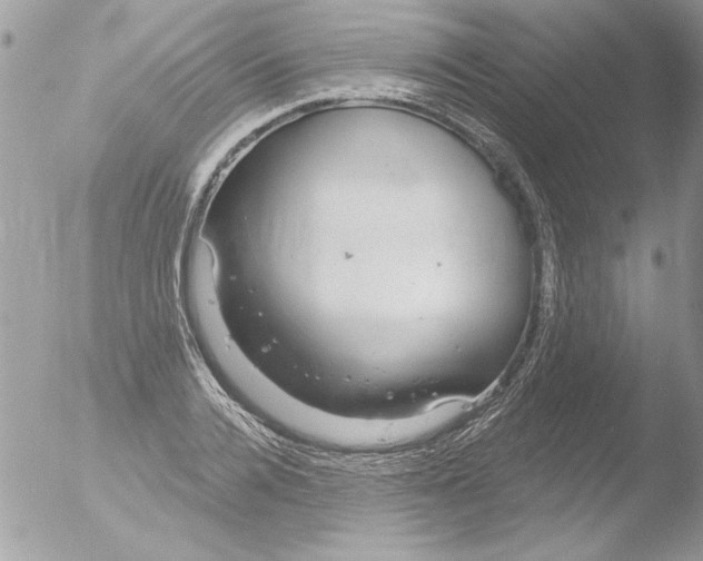 X0000051260936200507152212