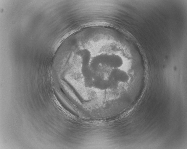 X0000051260937200507152212