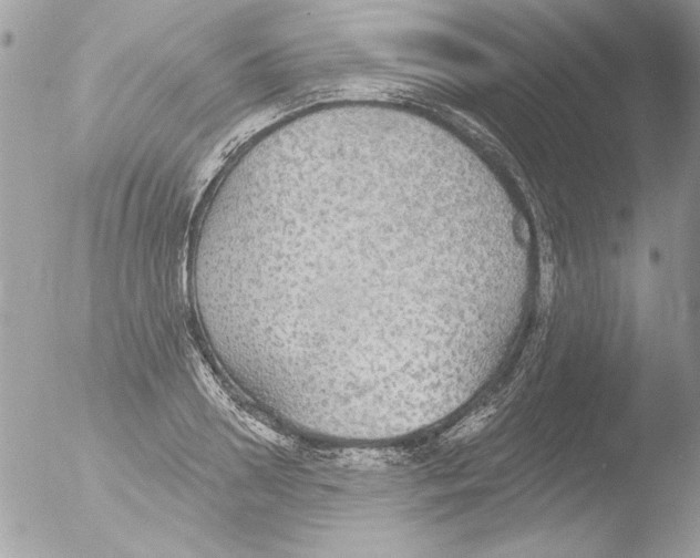 X0000051260938200507152212