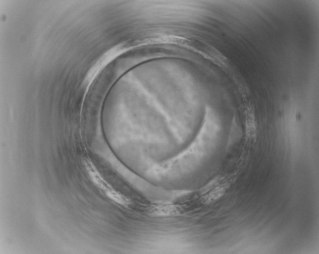 X0000051260940200507152212