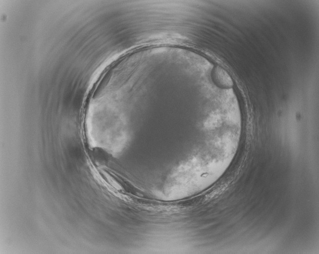 X0000051260941200507152212