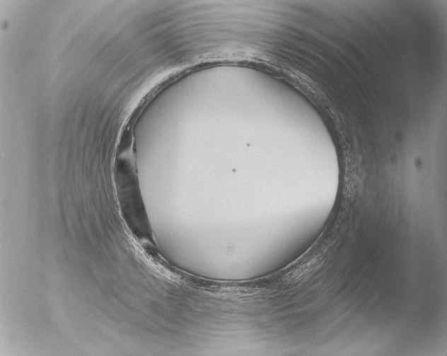 X0000051260942200507152212