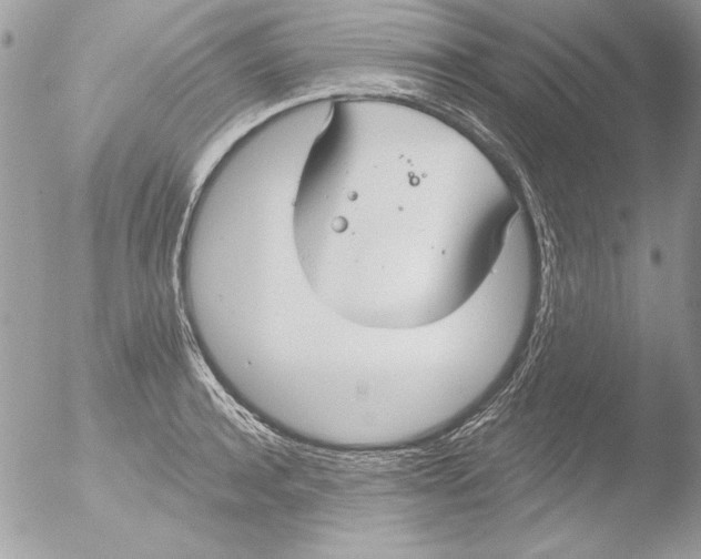 X0000051260944200507152212